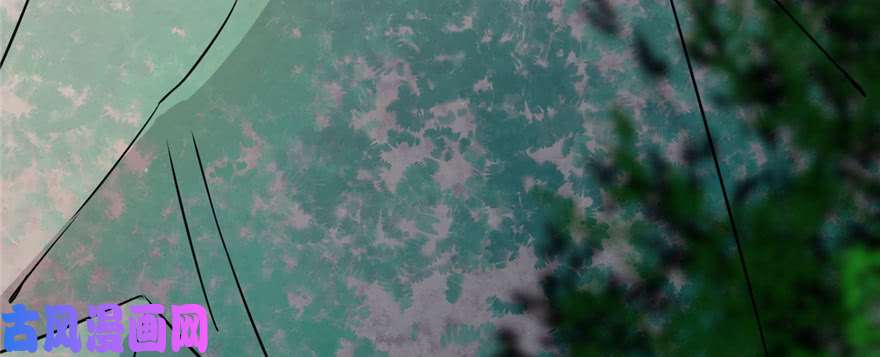 毒步天下：特工神医小兽妃91