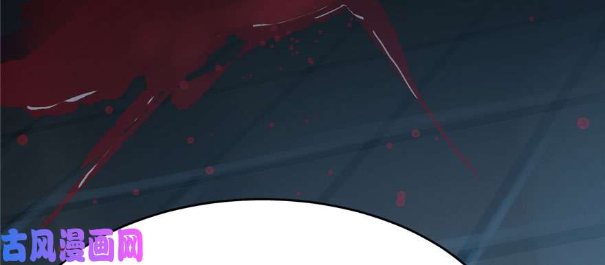 毒步天下：特工神医小兽妃91