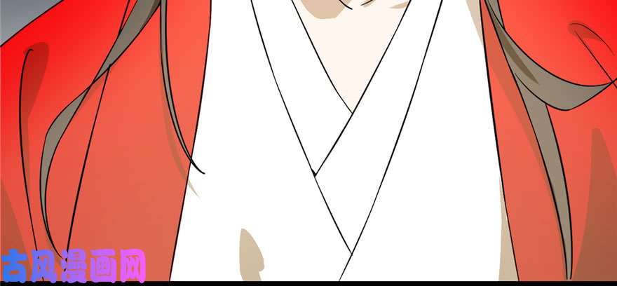 毒步天下：特工神医小兽妃91