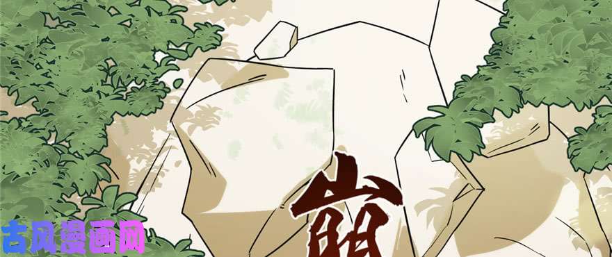 毒步天下：特工神医小兽妃91