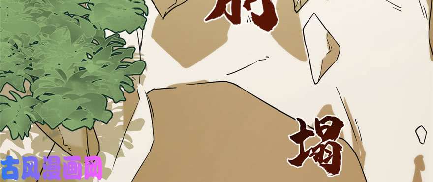 毒步天下：特工神医小兽妃91