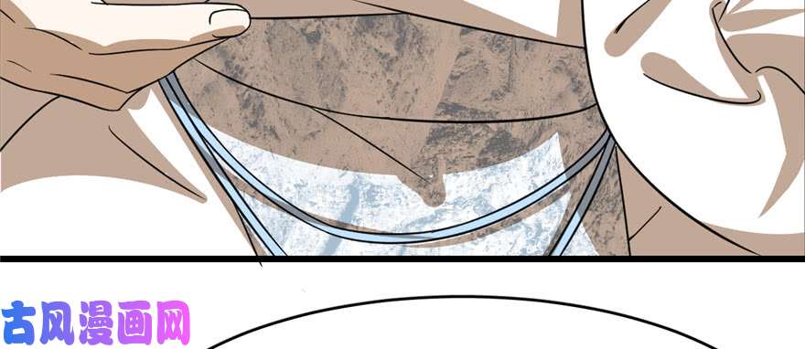 毒步天下：特工神医小兽妃91