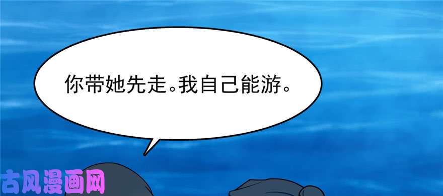 毒步天下：特工神医小兽妃106