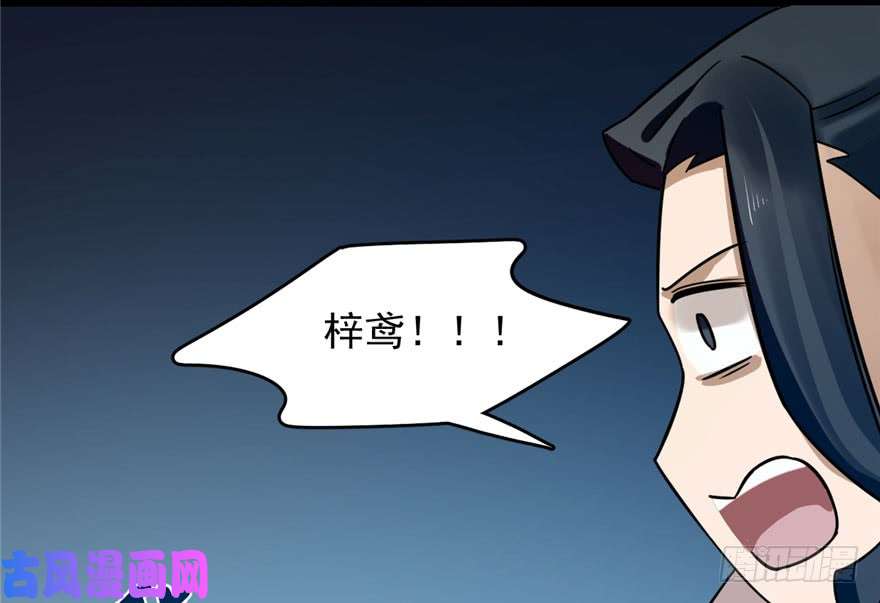 毒步天下：特工神医小兽妃106
