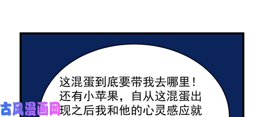 毒步天下：特工神医小兽妃107