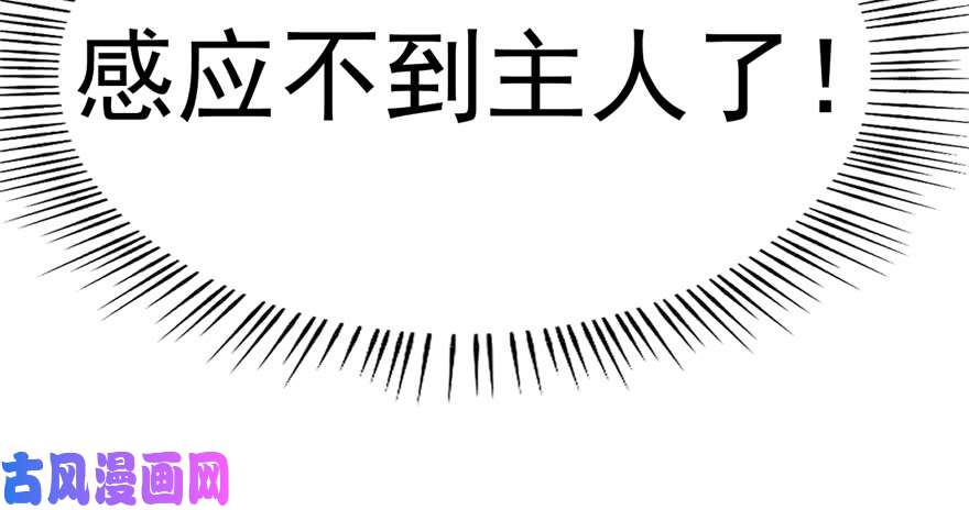 毒步天下：特工神医小兽妃107