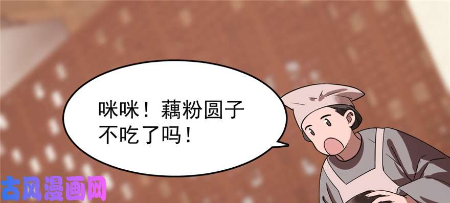 毒步天下：特工神医小兽妃107