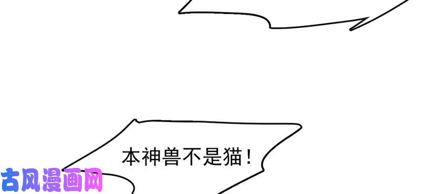 毒步天下：特工神医小兽妃107