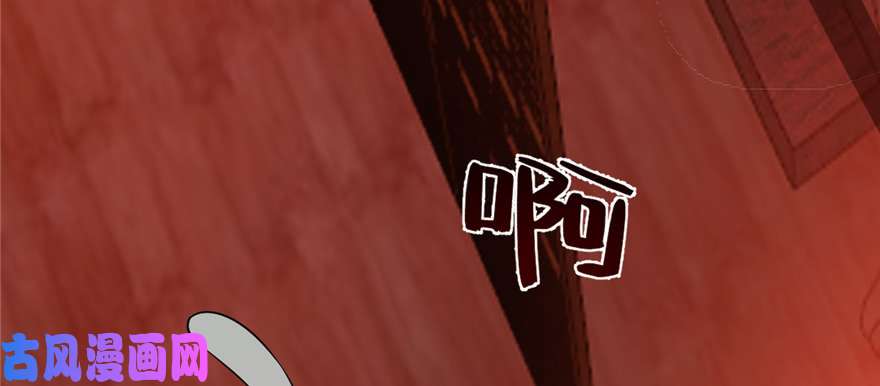 毒步天下：特工神医小兽妃107