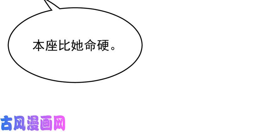 毒步天下：特工神医小兽妃108