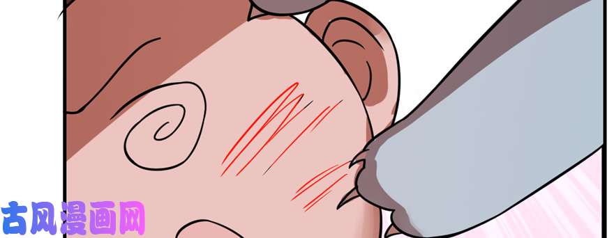 毒步天下：特工神医小兽妃108