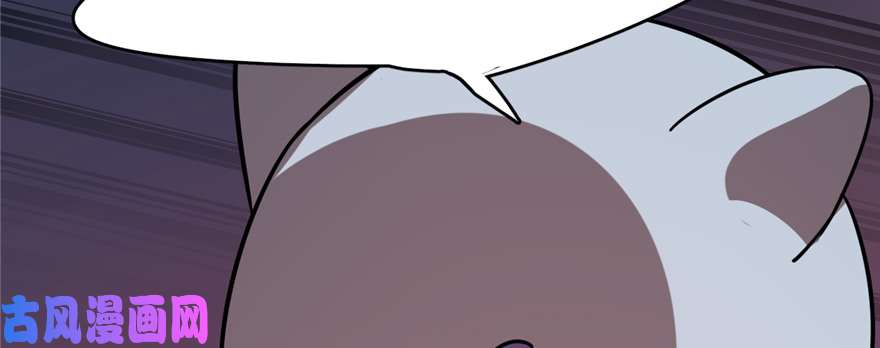 毒步天下：特工神医小兽妃108