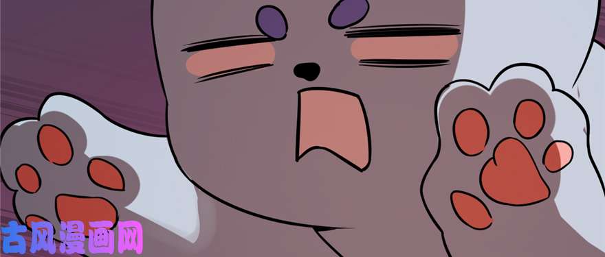 毒步天下：特工神医小兽妃108