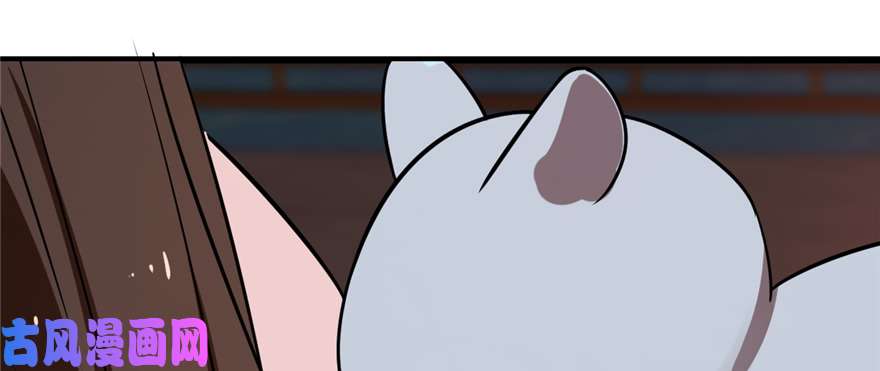 毒步天下：特工神医小兽妃108