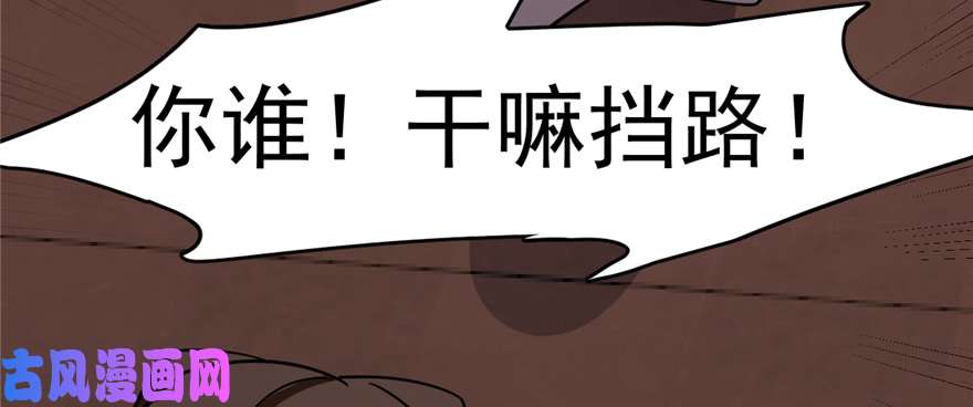 毒步天下：特工神医小兽妃108