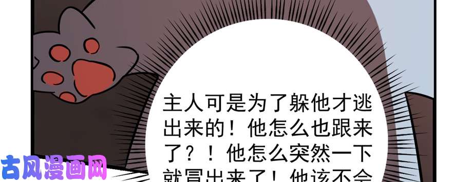 毒步天下：特工神医小兽妃108