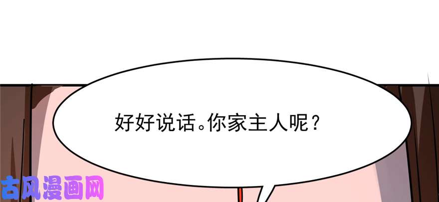 毒步天下：特工神医小兽妃108