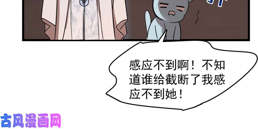 毒步天下：特工神医小兽妃108