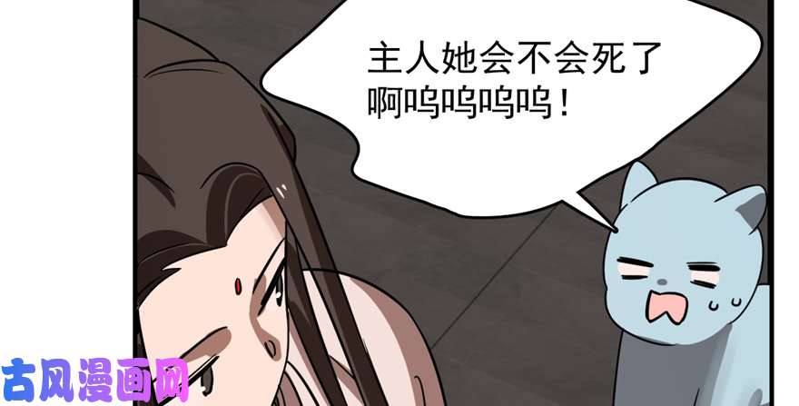 毒步天下：特工神医小兽妃108