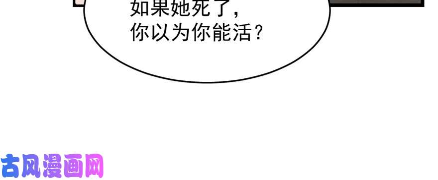 毒步天下：特工神医小兽妃108