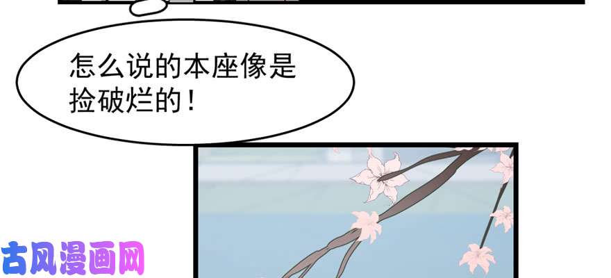 毒步天下：特工神医小兽妃109