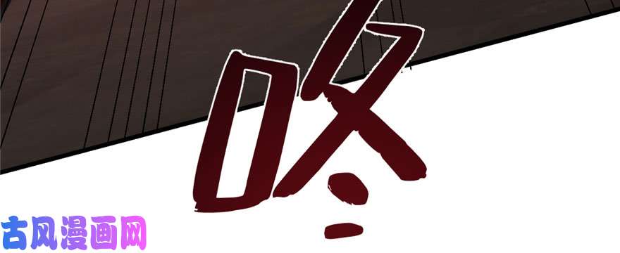 毒步天下：特工神医小兽妃110