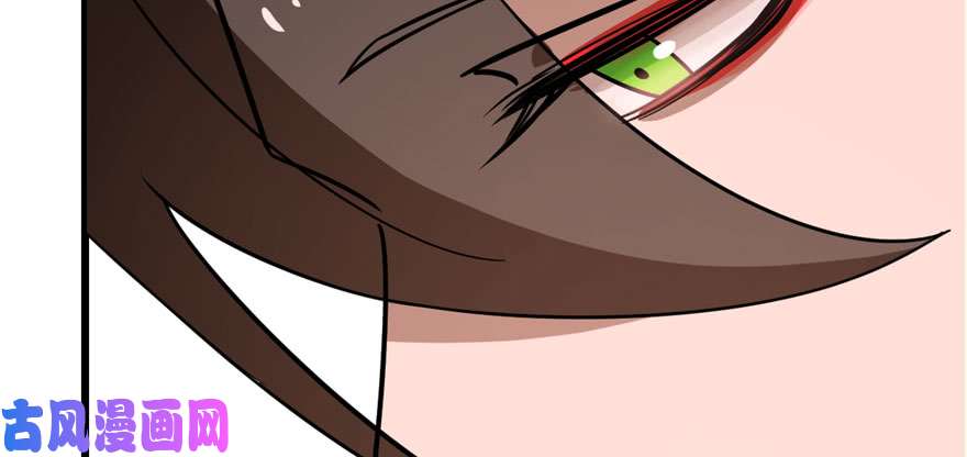 毒步天下：特工神医小兽妃110