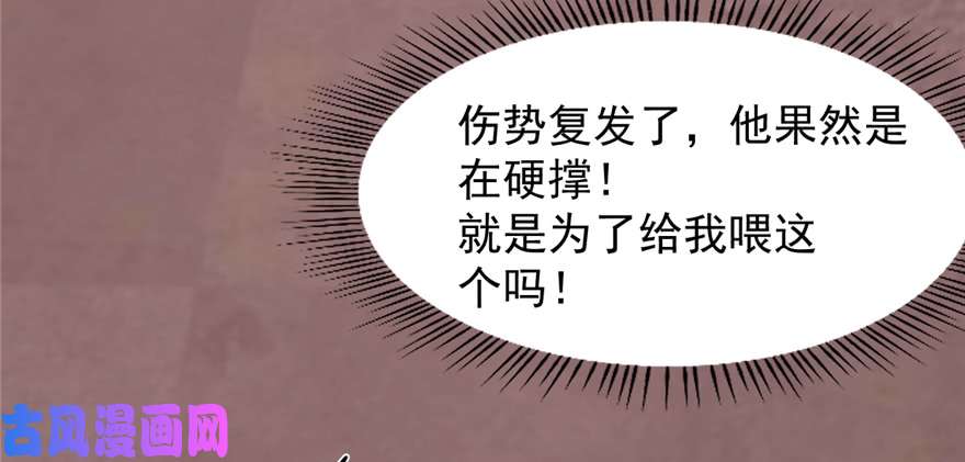 毒步天下：特工神医小兽妃111