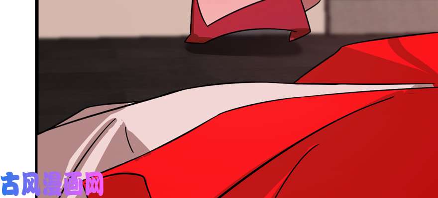 毒步天下：特工神医小兽妃111