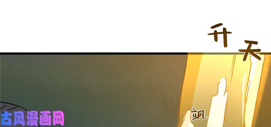 毒步天下：特工神医小兽妃112