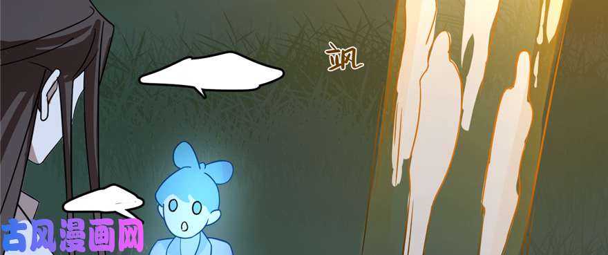 毒步天下：特工神医小兽妃112