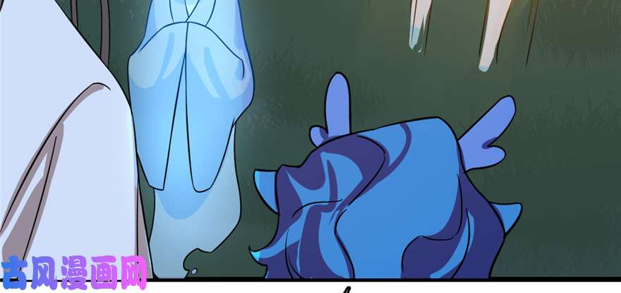 毒步天下：特工神医小兽妃112