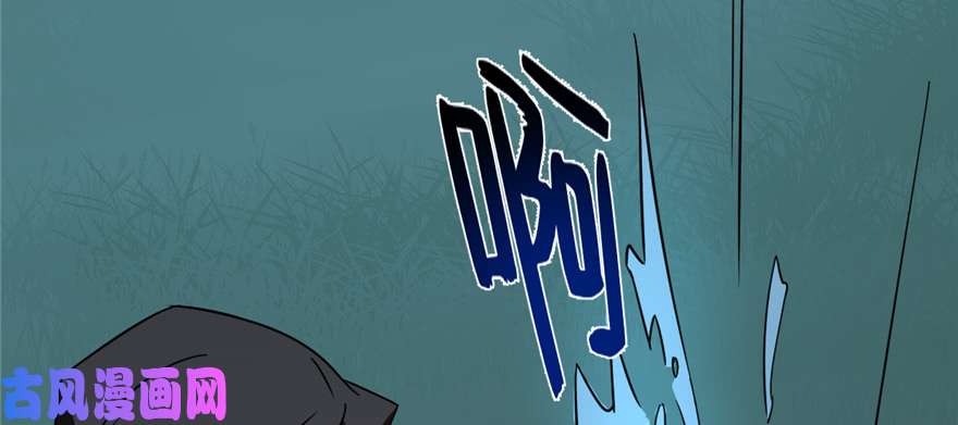 毒步天下：特工神医小兽妃112