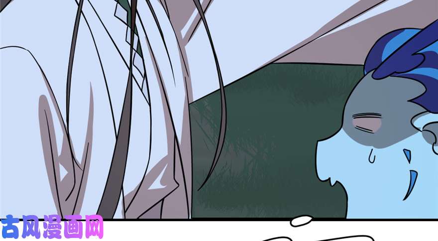 毒步天下：特工神医小兽妃112