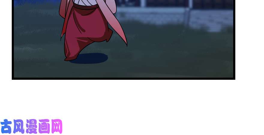 毒步天下：特工神医小兽妃112