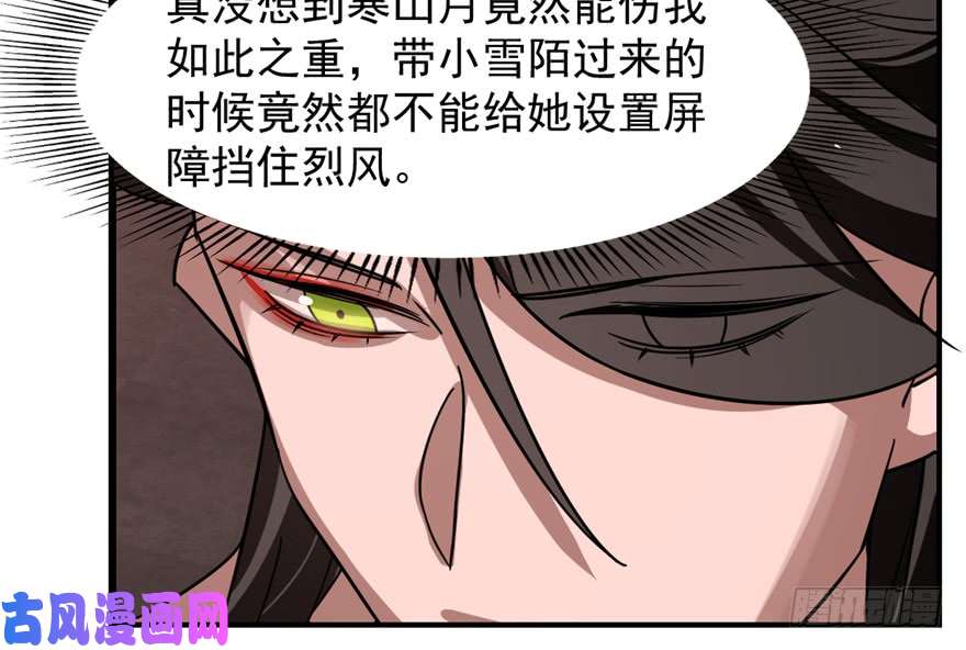 毒步天下：特工神医小兽妃112