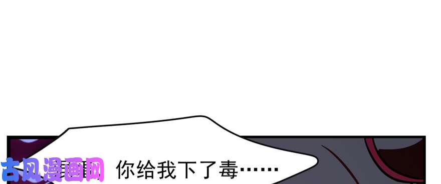 毒步天下：特工神医小兽妃112