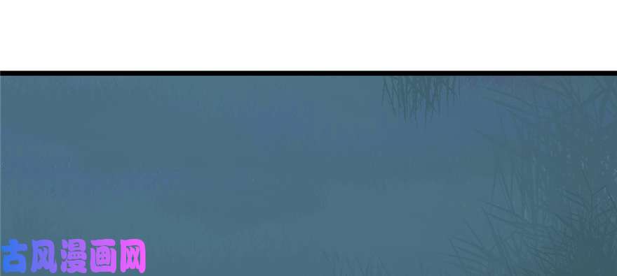 毒步天下：特工神医小兽妃112