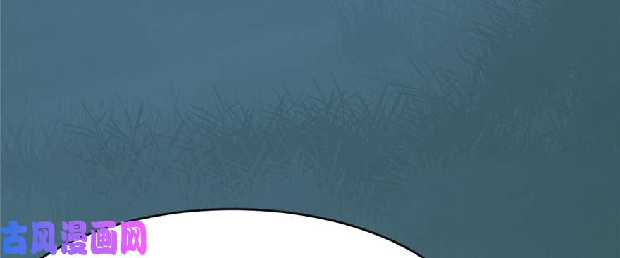 毒步天下：特工神医小兽妃112