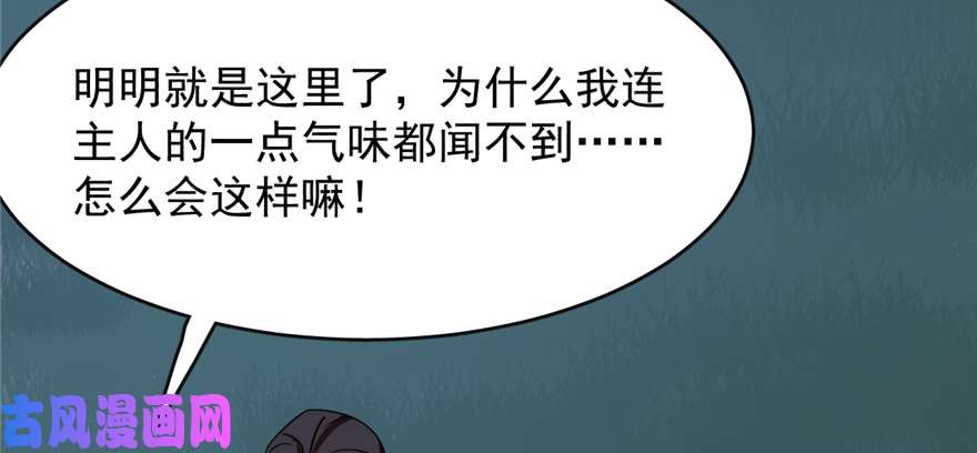 毒步天下：特工神医小兽妃112