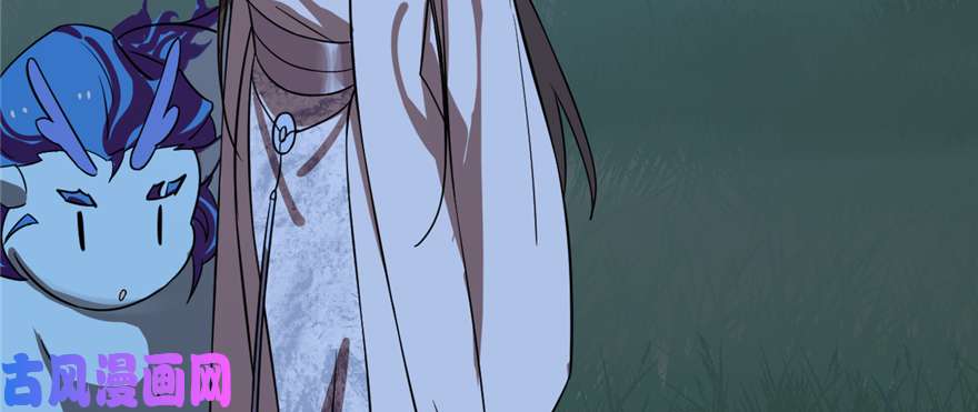 毒步天下：特工神医小兽妃112