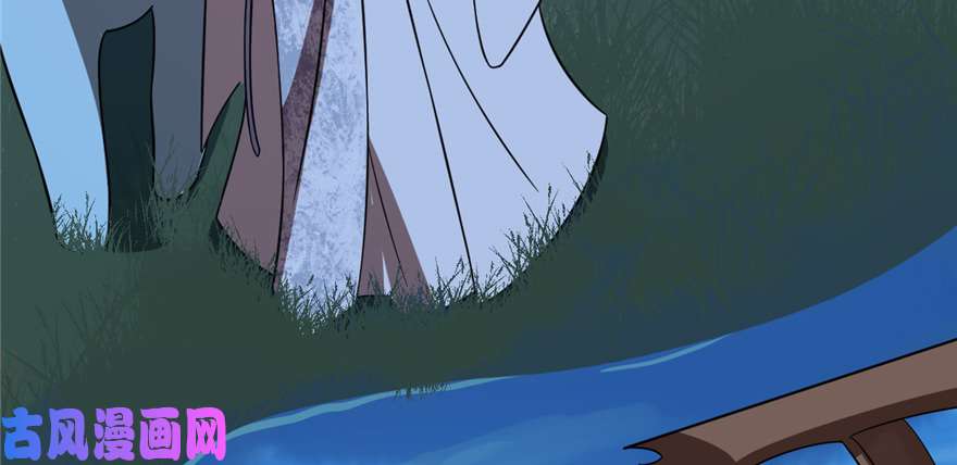 毒步天下：特工神医小兽妃112