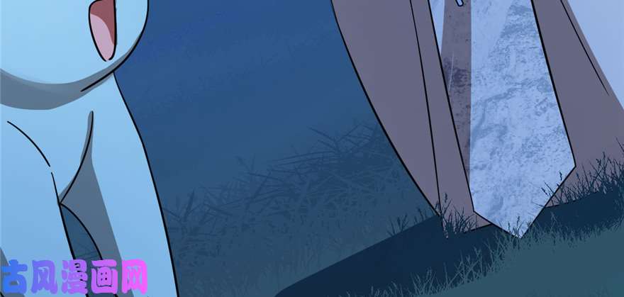 毒步天下：特工神医小兽妃112