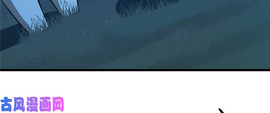 毒步天下：特工神医小兽妃112