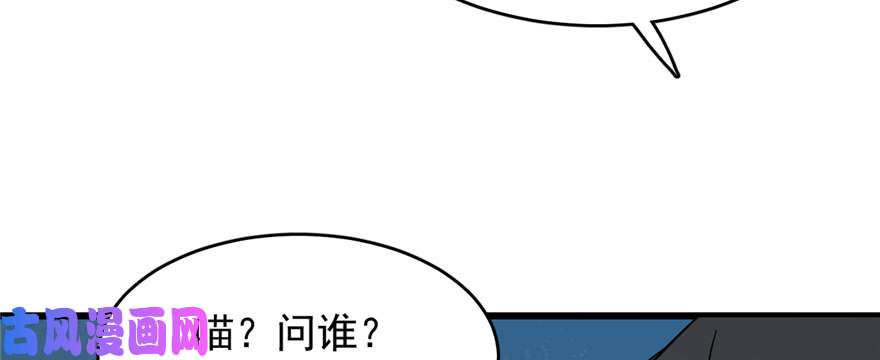 毒步天下：特工神医小兽妃113
