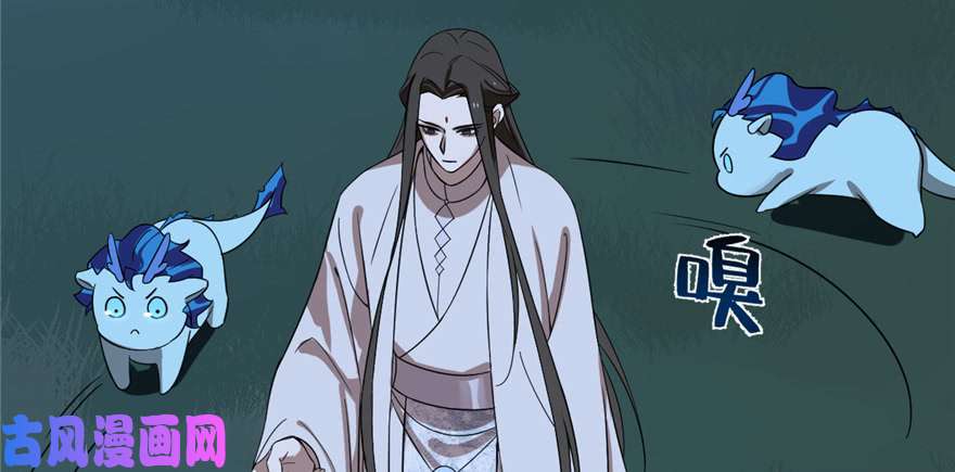 毒步天下：特工神医小兽妃113