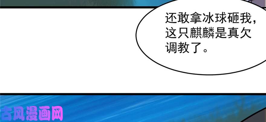 毒步天下：特工神医小兽妃113