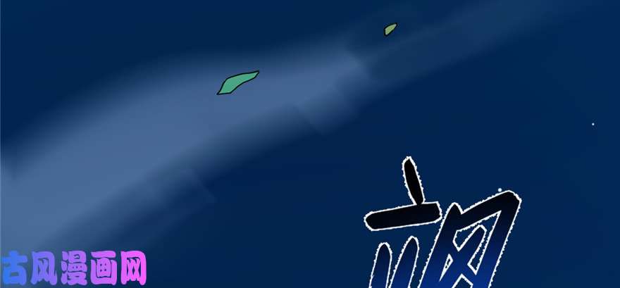 毒步天下：特工神医小兽妃114