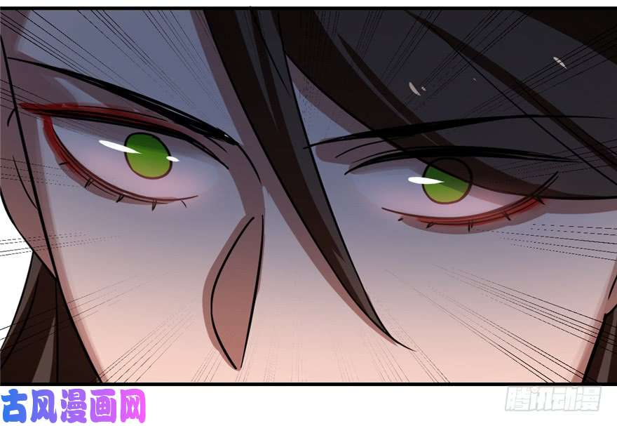 毒步天下：特工神医小兽妃114