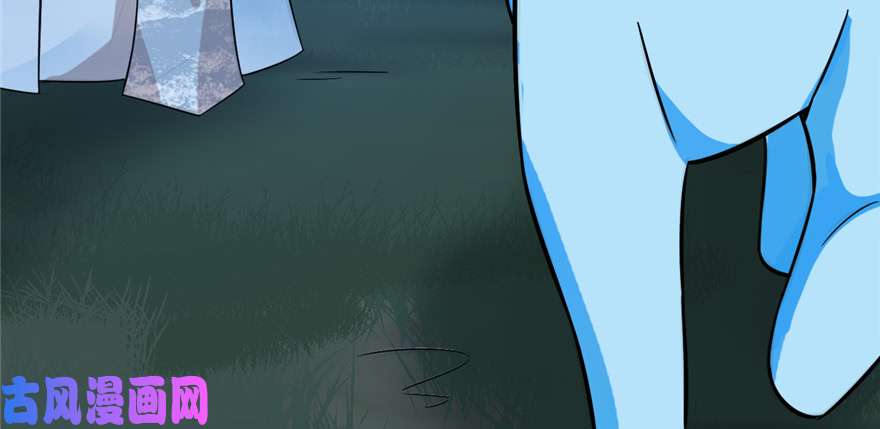 毒步天下：特工神医小兽妃115